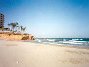 2 Bedroomed property for sale in Playa Flamenca - Flamenca beach
