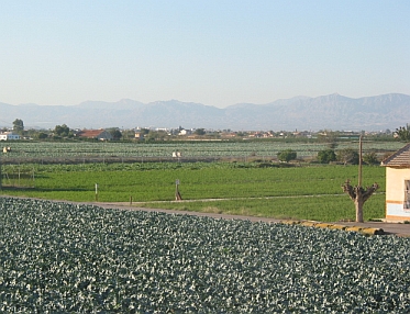 Properties for sale in Rojales - Property for sale in Rojales